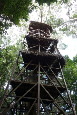 Turm Tapiche Reservat